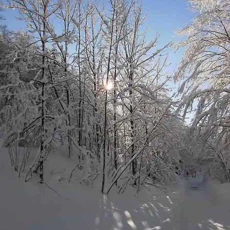 Vendégház Salzburger Hof